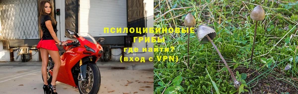 каннабис Дмитров