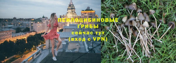 каннабис Дмитров