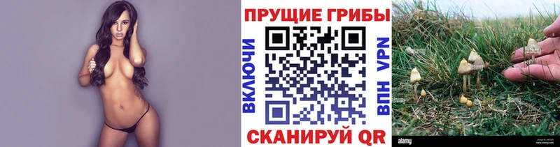 Псилоцибиновые грибы ЛСД  где можно купить наркотик  Чухлома 